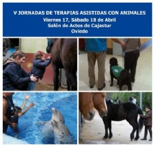Equitacin Positiva