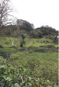 campo