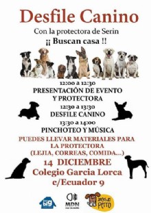 Desfile